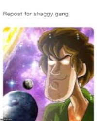 Repost for shaggy gang Meme Template