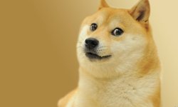 the doge meme Meme Template