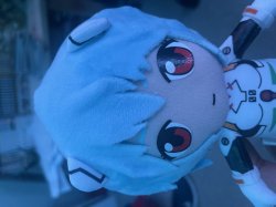 Rei Meme Template
