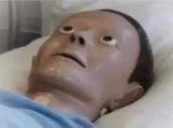 Alex sleeping Meme Template