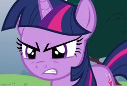 Twilight Sparkle angry face Meme Template