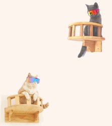 Mog Cats Meme Template