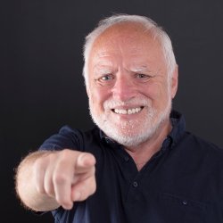 Hide the Pain Harold pointing at camera Meme Template