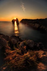 Danielle Gomes Meme Template