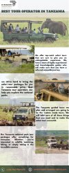 Best Tour Operator In Tanzania Meme Template