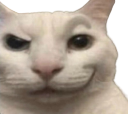 cat rizz transparent Meme Template