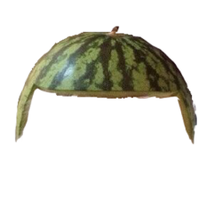 watermelon hat Meme Template