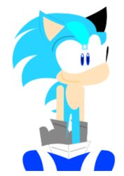 What in the frick is that sonic? Meme Template