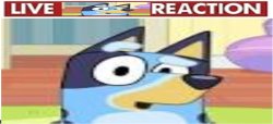 dwanyne the bluey johnson Meme Template