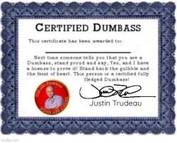 Dumbass Award JT Meme Template