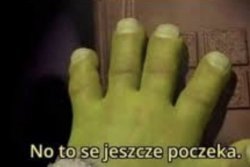 Shrek, no to se jeszcze poczeka Meme Template