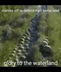Watermelons off to defend their homeland glory to the waterland Meme Template