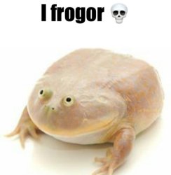 I frogor ☠️ Meme Template