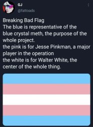 truth behind the trans flag Meme Template