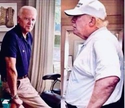Biden trim in shape, Trump obese, fat, cholesterol poor health Meme Template