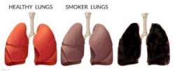 Smoker lungs Meme Template