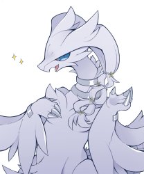 reshiram got Rockstar swag Meme Template