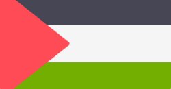 Palestine Flag Meme Template