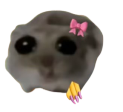 Sad girl hamster Meme Template
