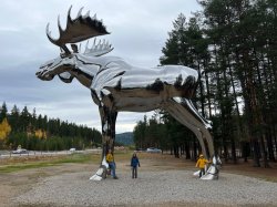 Giant silver moose norway Meme Template