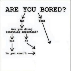 Are you bored flow chart Meme Template