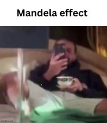 Drake Leak Mandela Meme Template