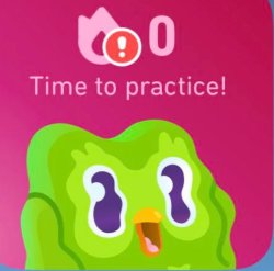 Duolingo TIME TO PRACTICE! Meme Template