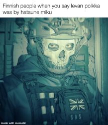 Finnish peoples be like Meme Template
