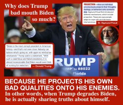 Why Does Trump Bad Mouth Biden So Much Sigmund Freud Meme Meme Template