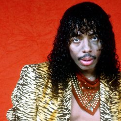 Rick James - bitches Meme Template