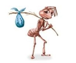 Ant Meme Template