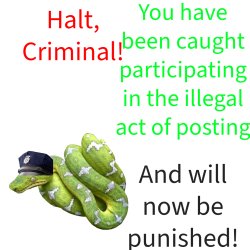 Halt Criminal but it's Emmy the Emerald Tree Boa Meme Template