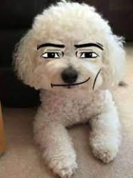 da doggo Meme Template
