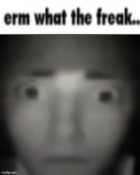 erm what the freak Meme Template