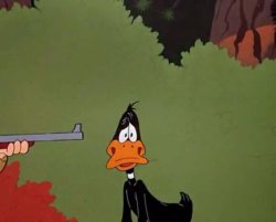 Daffy Duck Not Again Meme Template