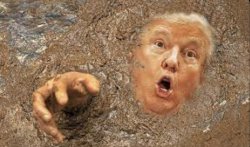 Trump in quicksand Meme Template