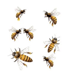 A Group of Bees Transparent PNG Meme Template