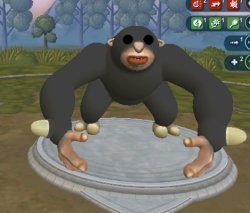 winton Meme Template