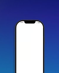 phone Meme Template