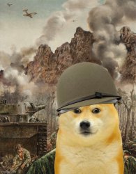 Thousand Doge Stare Meme Template