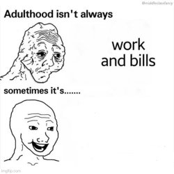 Adulthood isn’t always Meme Template