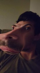 Hippo face Meme Template