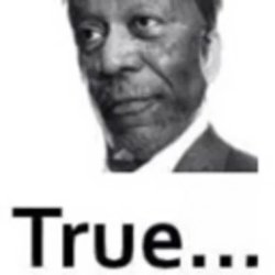 true morgan freeman Meme Template