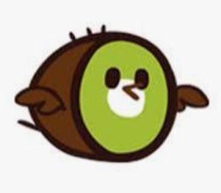 Kiwi Bird Pet Meme Template