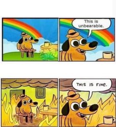 This is unbearable / This is fine Meme Template