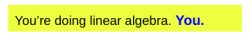 You're doing linear algebra. You. Meme Template