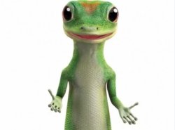 Geco Meme Template