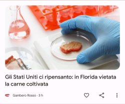 Florida vieta la carne coltivata Meme Template