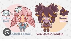 Sea Shell And Sea Urchin Cookies Fanchild Meme Template
