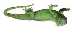 Iguana upside down Meme Template